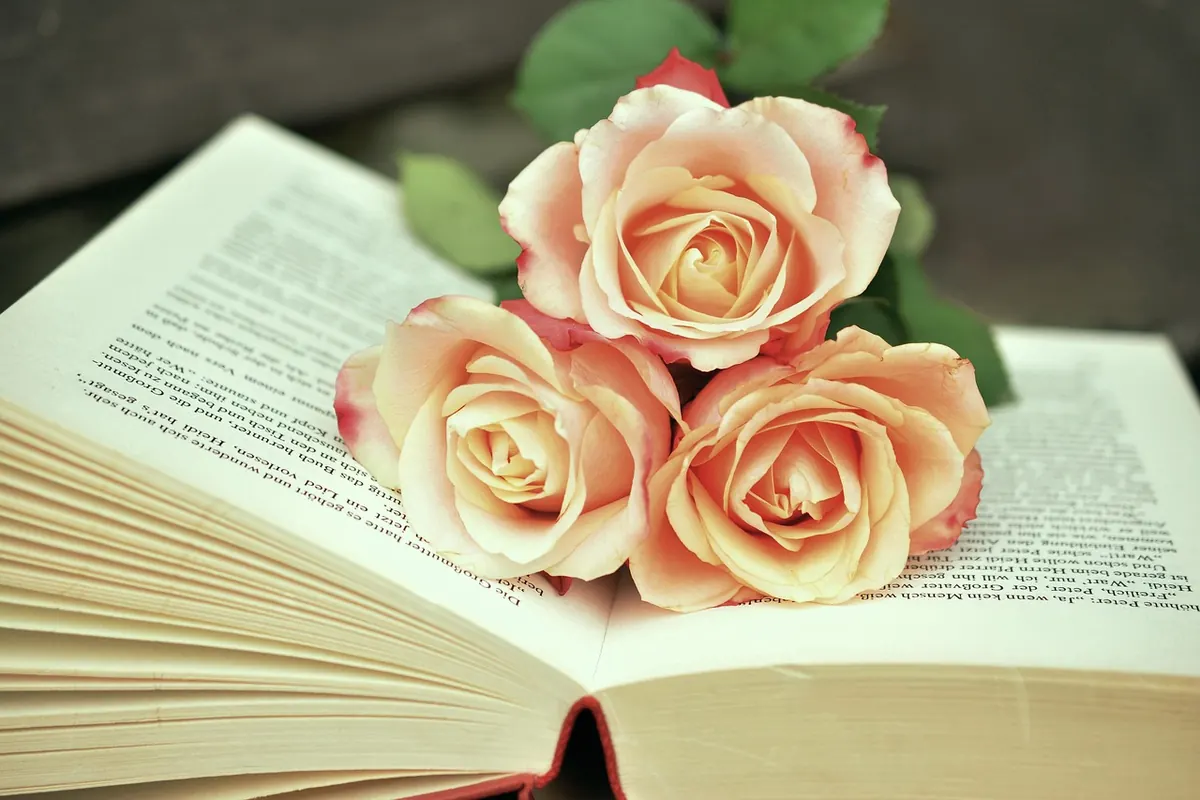 The Booker Prize Shortlist Explained: How to Read the Contenders with Confidence